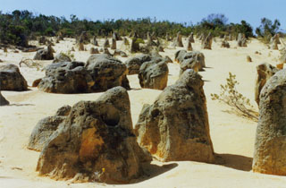 Cervantes - the pinnacles