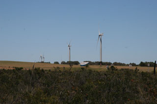 Wind farm